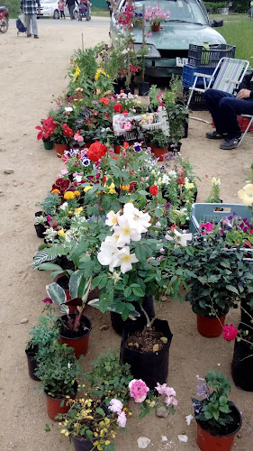 La Pizzalina - Gastronomía y hostelería