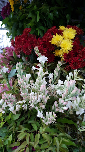 Comentarii opinii despre Floreria El LICO