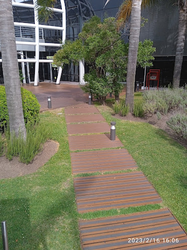 Comentarii opinii despre Domo