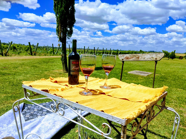 Opinii despre Finca Las Cavas în Carmelo - Gastronomía y hostelería