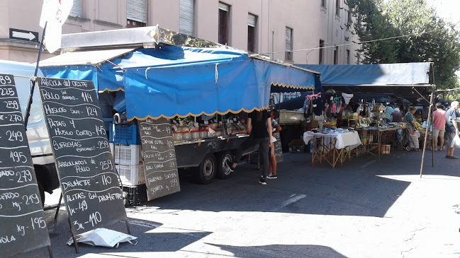 Comentarii opinii despre Feria Vecinal Ac. Diaz