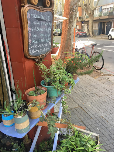 Mercado Bodoque - Montevideo