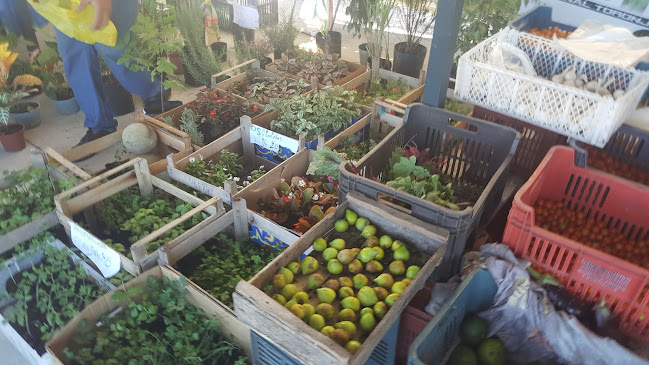 Mercado de Cercanía - Gastronomía y hostelería