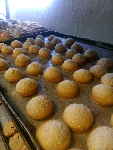 Belén Casa de Pan - Salto