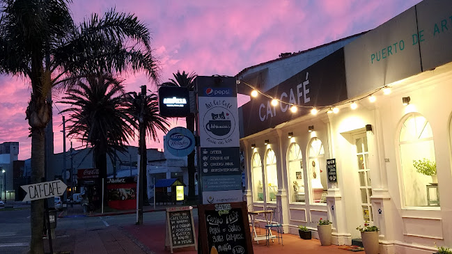 ADRIANUZCA'S CAT CAFÉ ☕🐈 - Gastronomía y hostelería