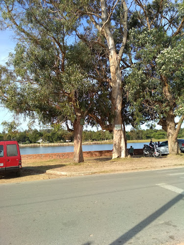 Simply Soul Food - Gastronomía y hostelería