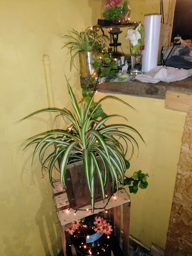 El Fogón Parrilla - Gastronomía y hostelería