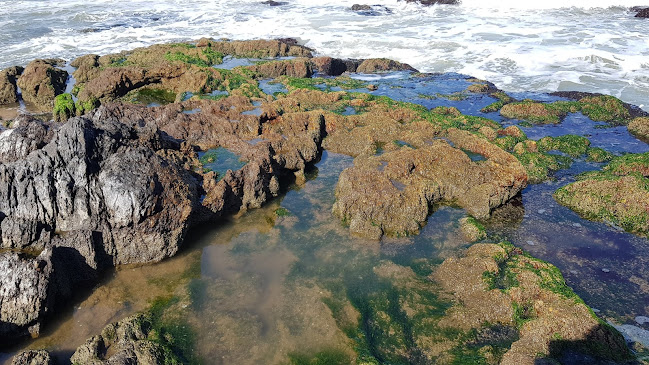 Comentarii opinii despre Viva la Vida