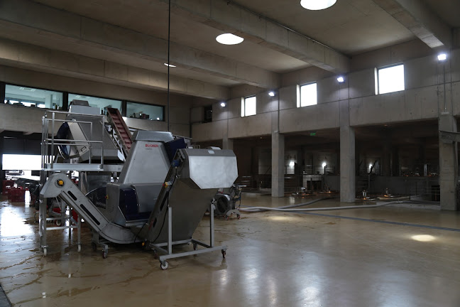 Comentarii opinii despre Agroland