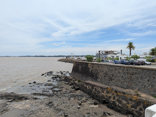 Reina Café-Bar - Col. del Sacramento