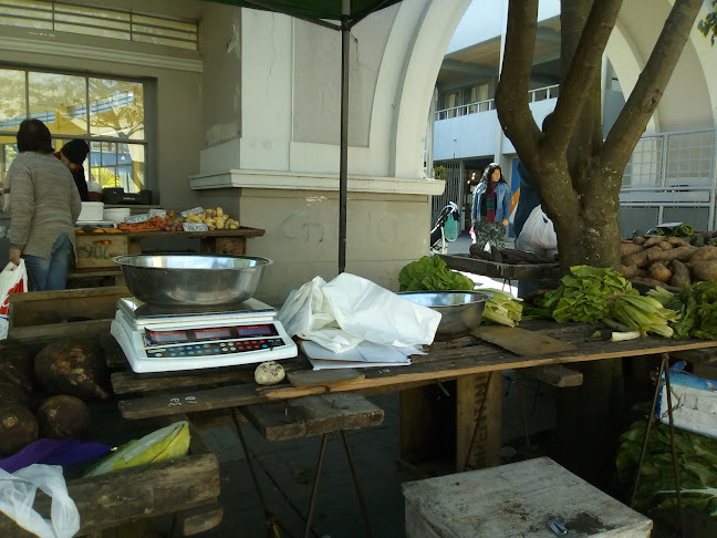 Mercado Municipal - Paysandú