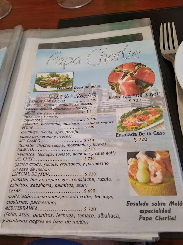 Opinii despre New Papa Charlie Long Play Beach în Punta del Este - Gastronomía y hostelería