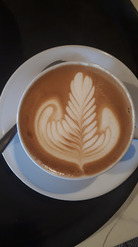 Mostrador Santa Teresita - Maldonado