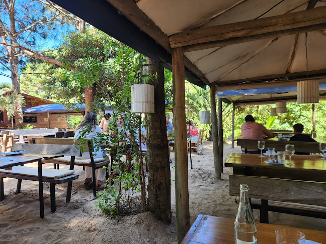 Marismo - Gastronomía y hostelería