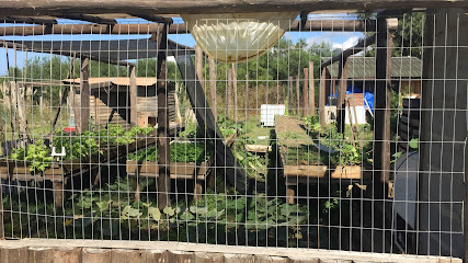 Almacén "Lo de Carlitos"