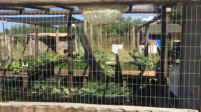 Almacén "Lo de Carlitos"