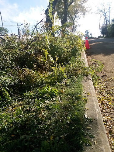 JQMM+JR2, Avenida Doctor Javier Barrios Amorin, 30000 Minas, Departamento de Lavalleja