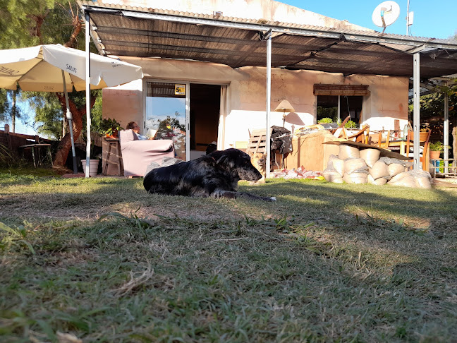 Heladeria Angelito - Gastronomía y hostelería