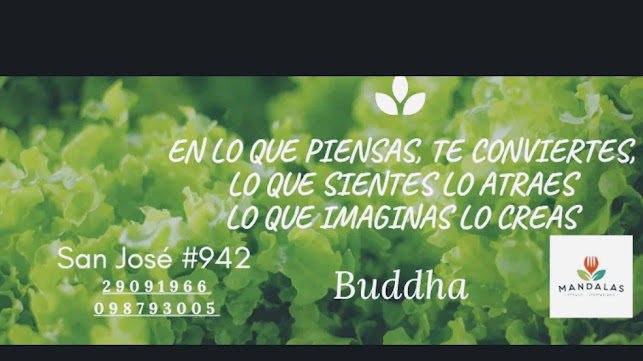 Mandalas Vegano-Vegetariano - Gastronomía y hostelería