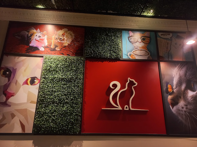 Telizzia Cat Café - Gastronomía y hostelería