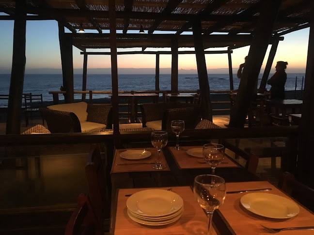 Punto Sur - La Paloma