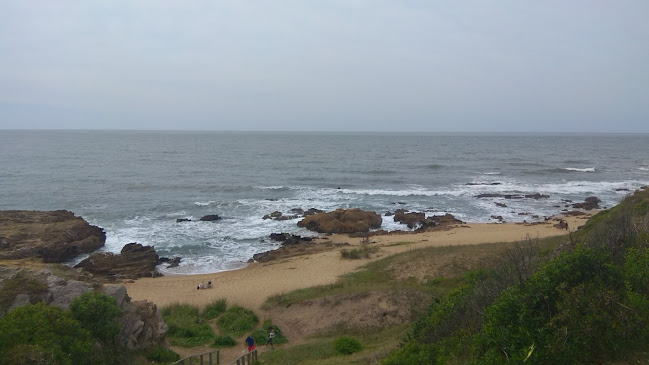 Mandala Buena Vista - Rocha