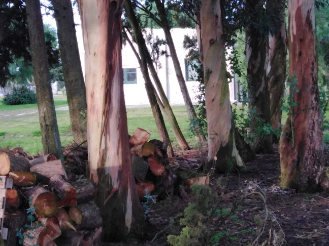 Comercio Sanchez - Gastronomía y hostelería