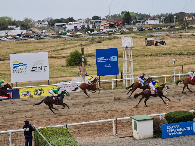 Opinii despre Hipódromo bar în Col. del Sacramento - Gastronomía y hostelería