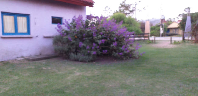 Opinii despre Cafetería Mala Vida în Punta del Diablo - Gastronomía y hostelería