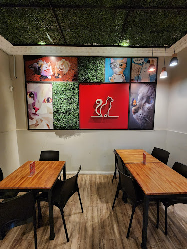 Comentarii opinii despre Telizzia Cat Café