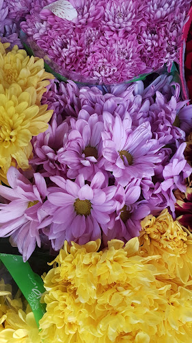 COFLORAL (mercado de flores) - Montevideo
