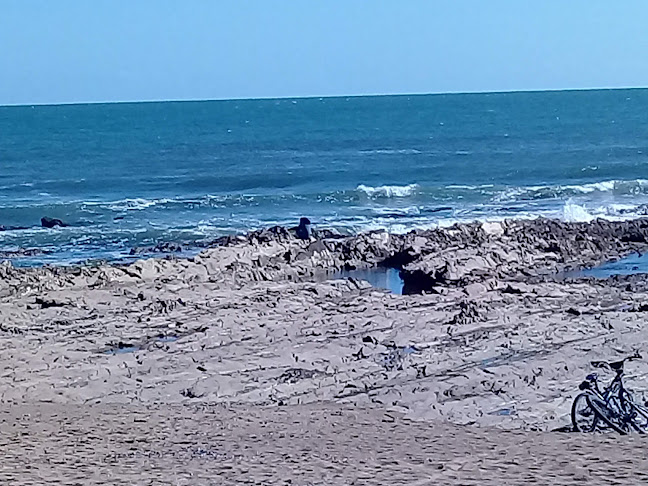 Comentarii opinii despre Los Botes