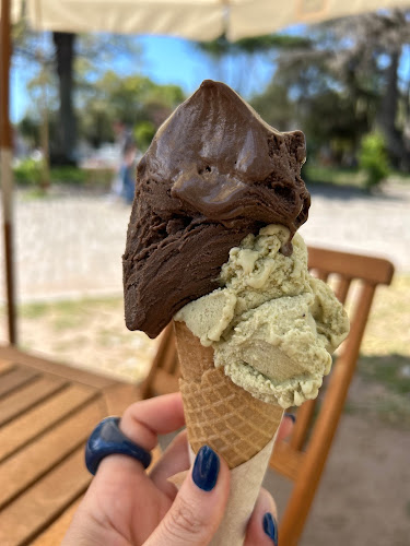 Freddo - Col. del Sacramento