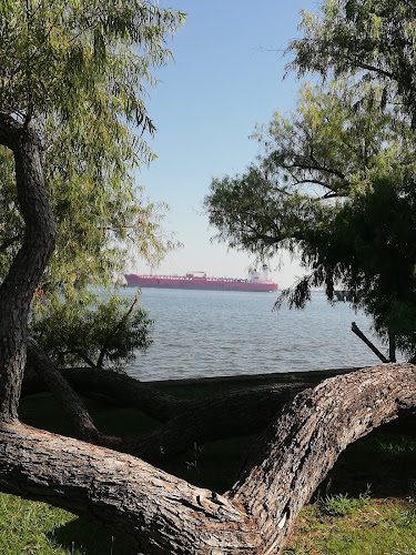 Opinii despre Fray bentos în Fray Bentos - Gastronomía y hostelería