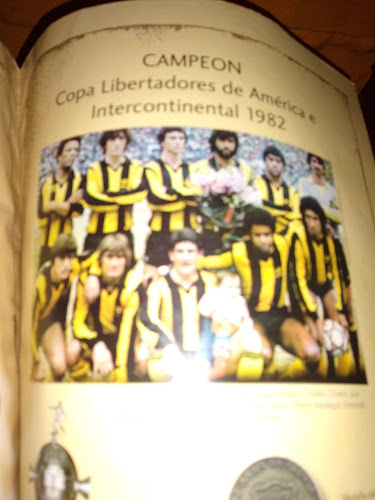 Carrito del democrático