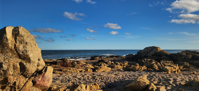 Comentarii opinii despre Il Faro Ristorante