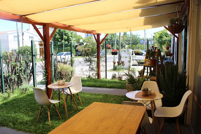 Amorcito Sabores Vegetarianos