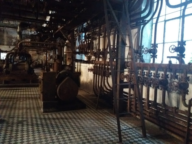 VMM9+C72, Rbla. Andrés Montaño, 65000 Barrio Anglo, Departamento de Río Negro