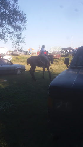 Sociedad Criolla Mi Tapera - Santa Lucía