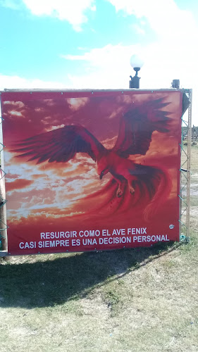 Carrito Ave Fenix - Rocha