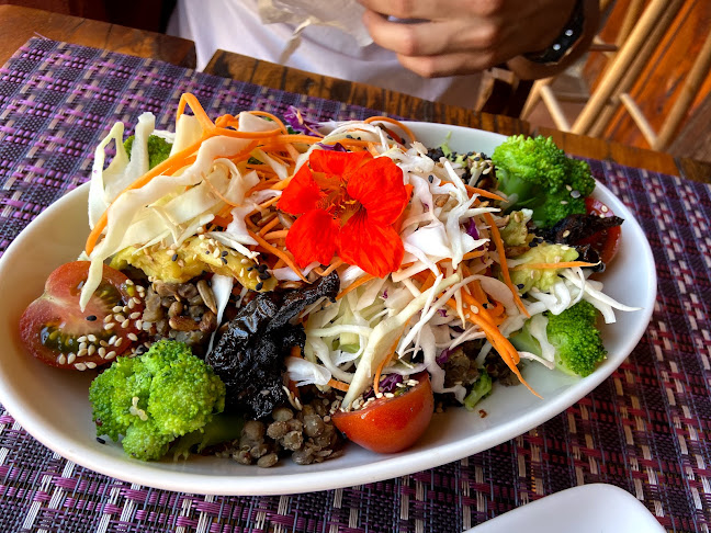 Comentarii opinii despre Raíz Cocina Saludable