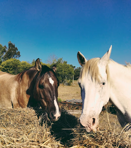 Brújula Café - Montevideo