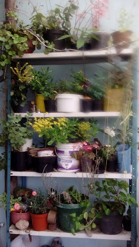 Opinii despre La Pizzalina în Canelones - Gastronomía y hostelería