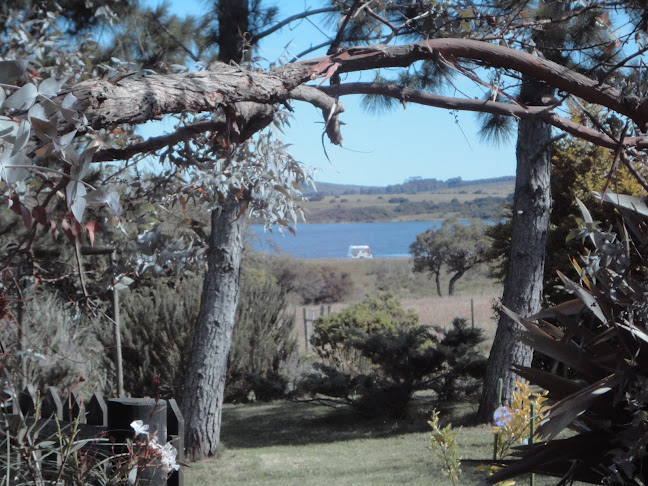 Restaurante Colibri Chakra La Serena - Gastronomía y hostelería