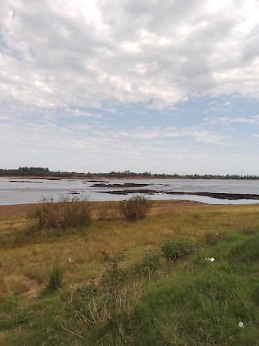 Opinii despre Don Mostacho Bar în Salto - Gastronomía y hostelería