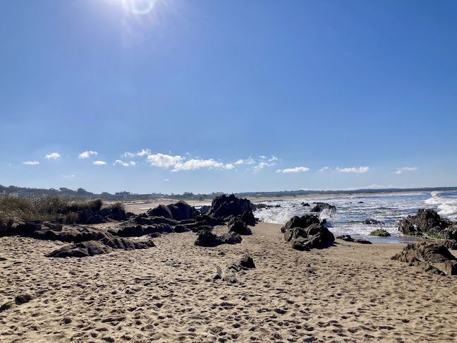 Parador del desplayado