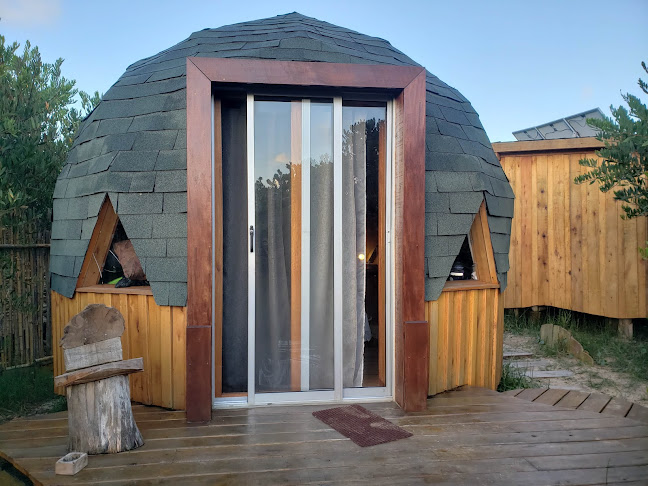 America Sativa Bar Grow