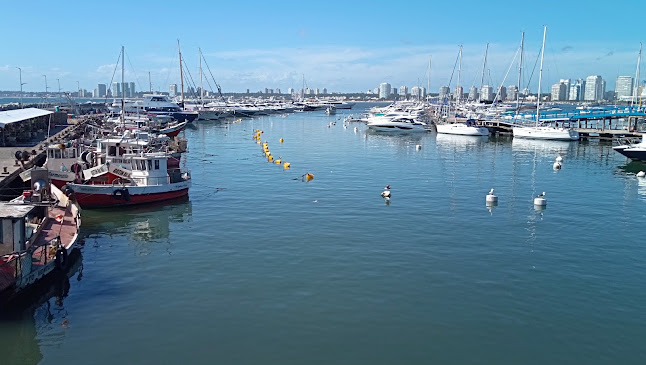 Rambla General Jose Artigas casi, 20100 Punta del Este, Departamento de Maldonado