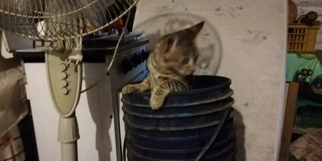 Parrillada Cabrera - Paysandú