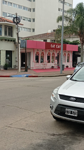 ADRIANUZCA'S CAT CAFÉ ☕🐈